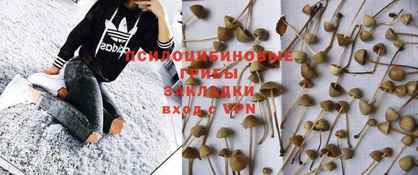 прущая мука Абдулино