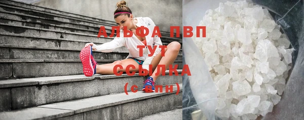 тгк Абаза
