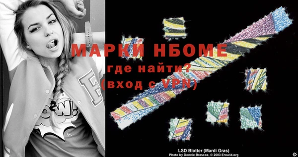 дурь Няндома