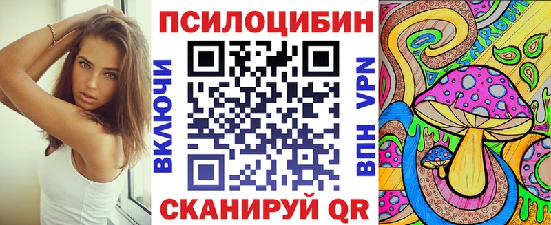 ОМГ ОМГ зеркало  Холмск  Псилоцибиновые грибы прущие грибы 